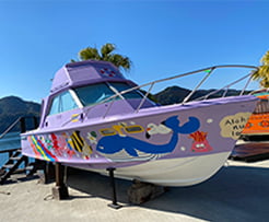 九州 宮崎 グランピング ボート